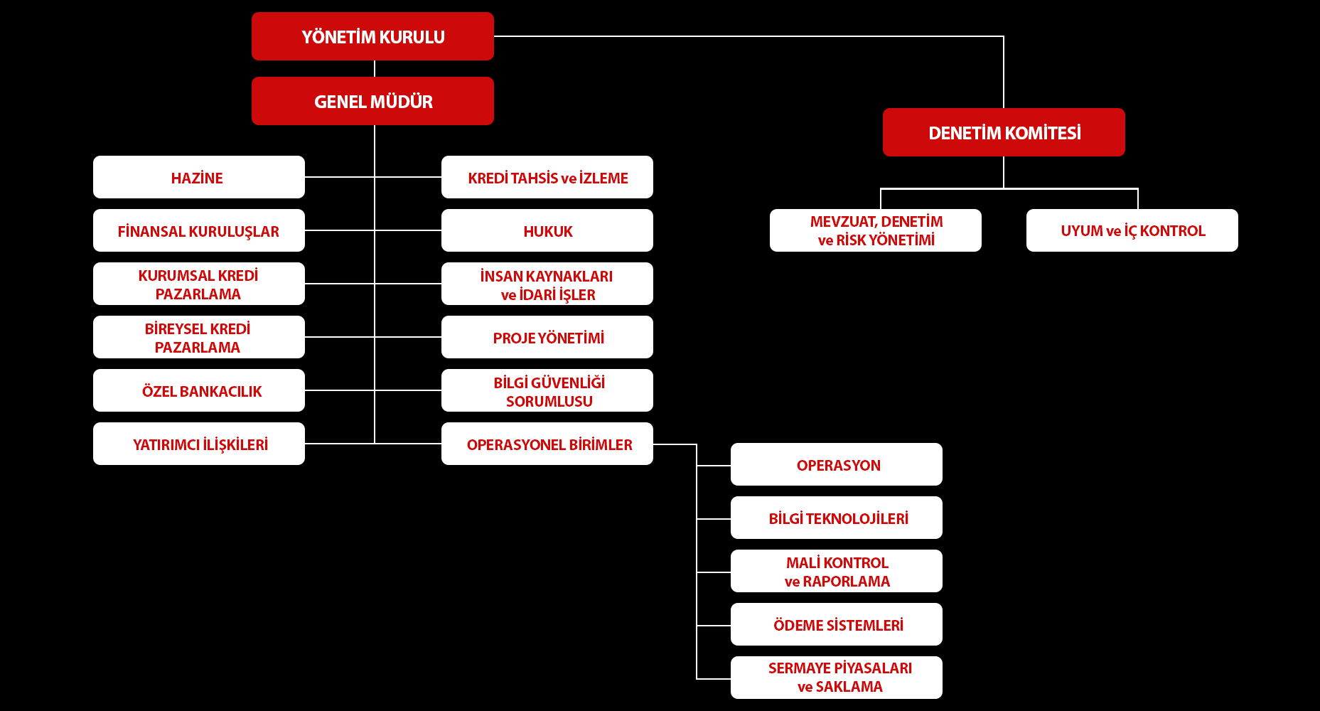 Nurol Bank Organizasyon Şeması