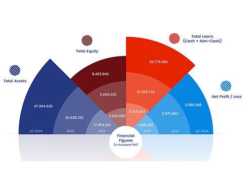 Q3 2024 financial figures.